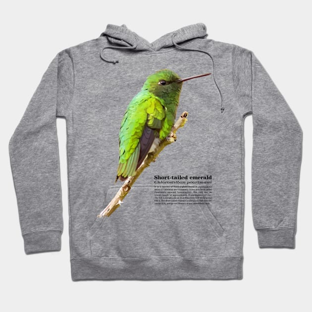 Short-tailed emerald hummingbird at dawn Hoodie by Ornamentum